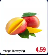 Manga Tommy