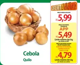 Cebola