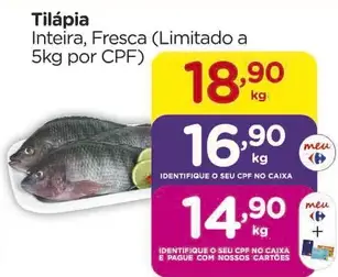 Tilápia