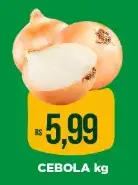 Cebola