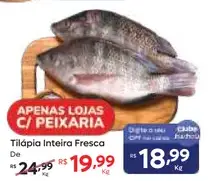 Tilápia Inteira Fresca