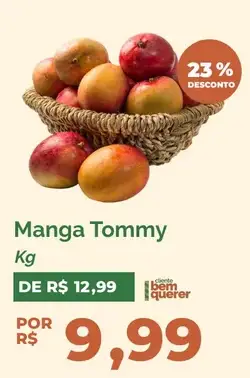 Manga Tommy