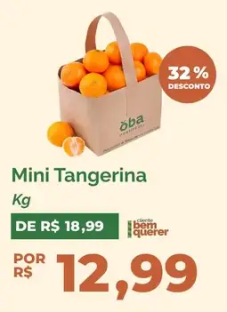 Tangerina Mini