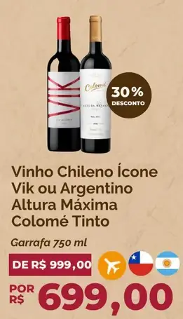 Vinho Vik Chileno Ícone