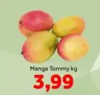 Manga Tommy