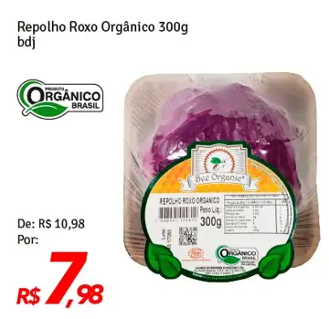 Repolho Roxo Bee Organic Orgânico