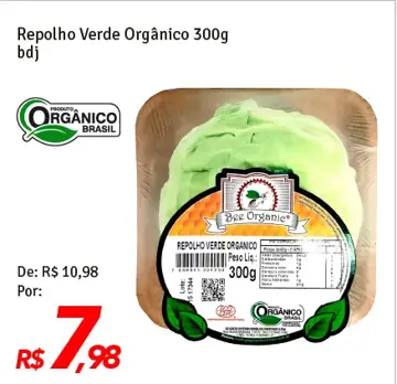 Repolho Verde Bee Organic Orgânico