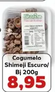 Cogumelo Kenisa Shimeji Escuro