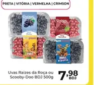Uvas Raízes da Roça Preta
