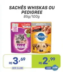 Sachê Pedigree