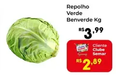 Repolho Benverde