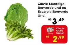 Couve Manteiga Benverde