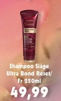 Shampoo