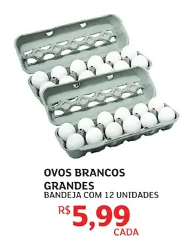 Ovos Brancos Grandes