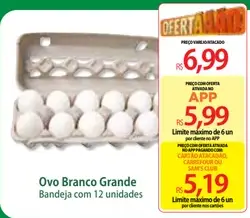 Ovo Branco Grande