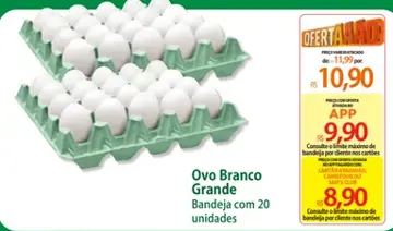 Ovo Branco Grande
