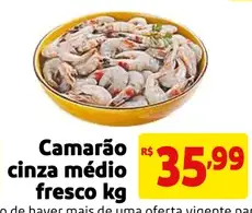 Camarão Cinza médio fresco