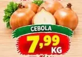 Cebola