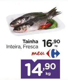 Tainha Inteira, Fresca