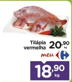 Tilápia Vermelha