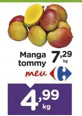 Manga Tommy