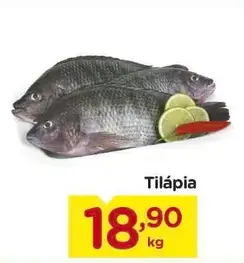 Tilápia