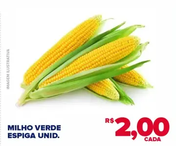 Milho Verde