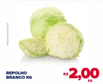 Repolho