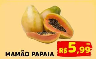 Mamão Papaia