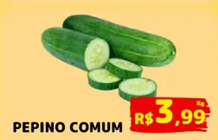 Pepino Comum